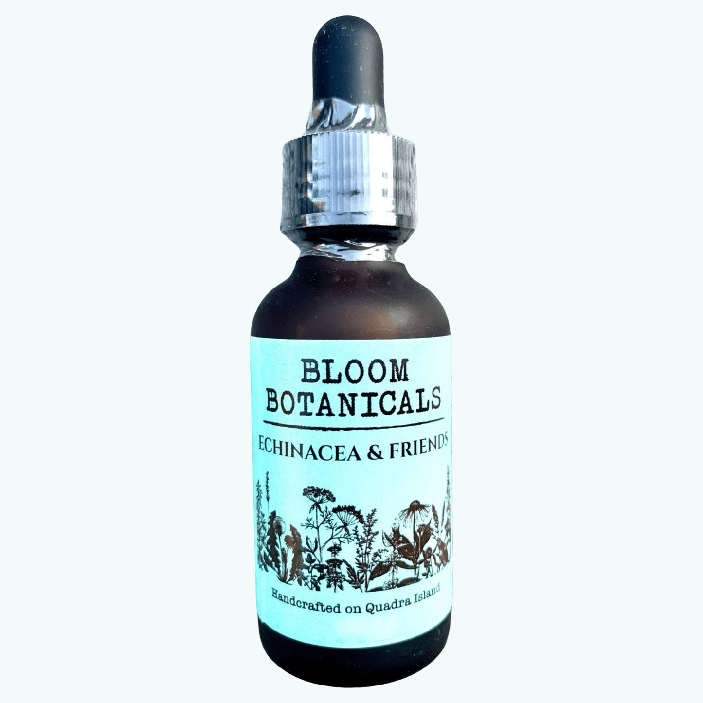 Echinacea & Friends Tincture - Bloom Botanicals